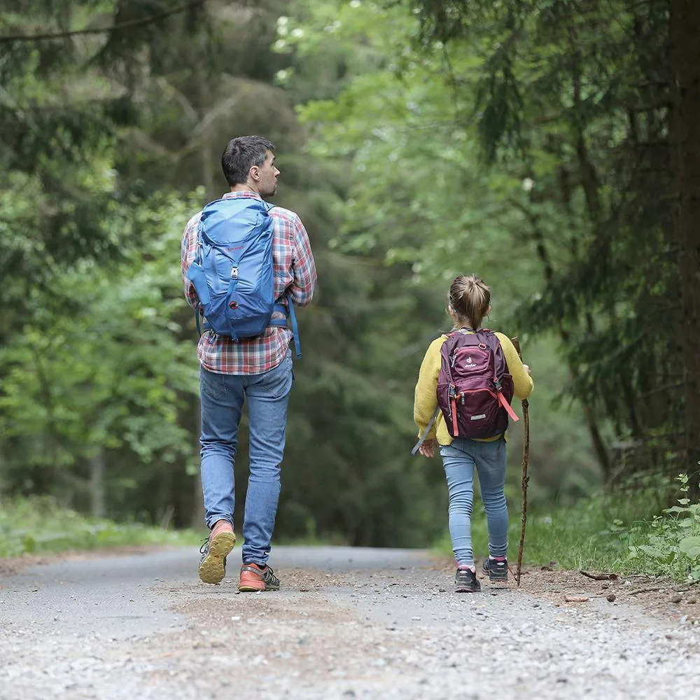 Randonneurs sur un chemin forestier